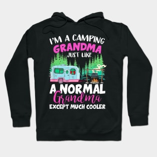 Camping Grandma Like A Normal Grandma Except Much Cooler Hoodie